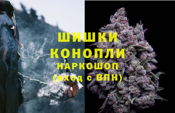 стаф Арсеньев