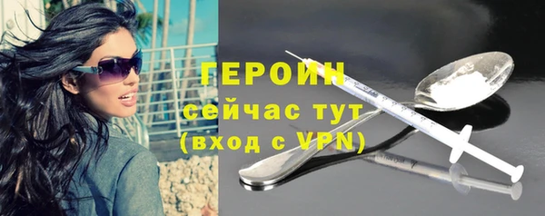 индика Осинники