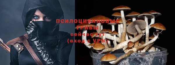 стаф Арсеньев