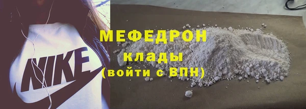 индика Осинники