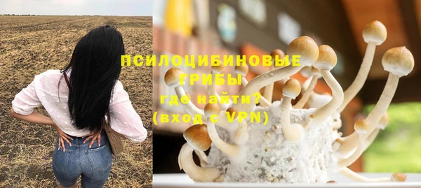 стаф Арсеньев