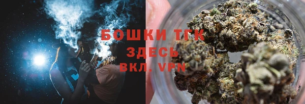 стаф Арсеньев