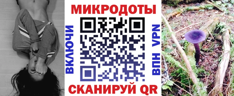 Псилоцибиновые грибы Psilocybe  Сысерть 
